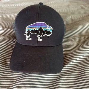 Patagonia Jackson Hole Hat